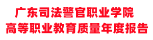 高等职业教育质量年度报告
